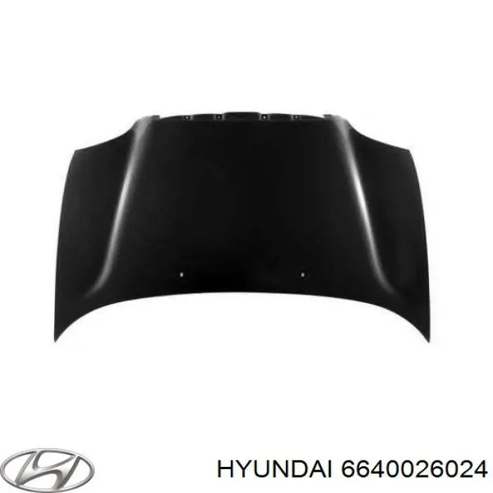 6640026024 Hyundai/Kia Capota