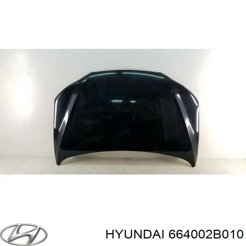 664002B010 Hyundai/Kia Capota