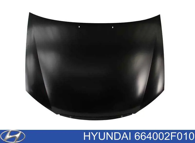 664002F010 Hyundai/Kia Capota