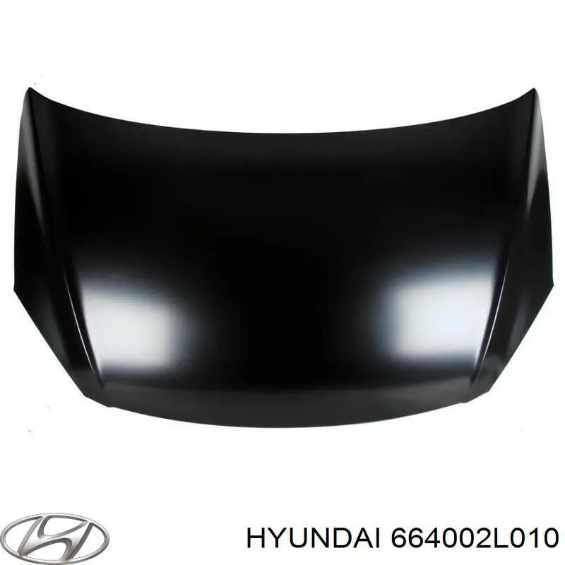 664002L010 Hyundai/Kia Capota