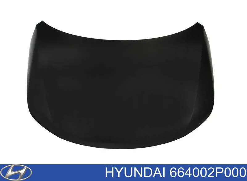 Capota Hyundai/Kia 664002P000 preço, a partir de 259,94 USD