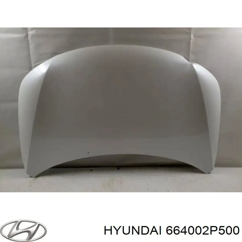 664002P500 Hyundai/Kia Capota