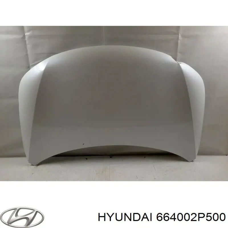 664002P500 Hyundai/Kia Capota