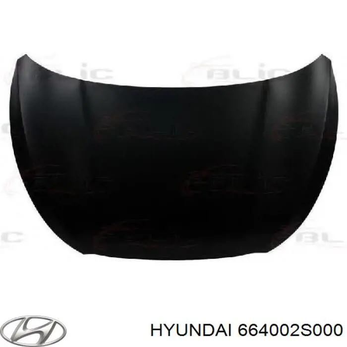 Capota Hyundai/Kia 664002S000 preço, a partir de 159,19 USD