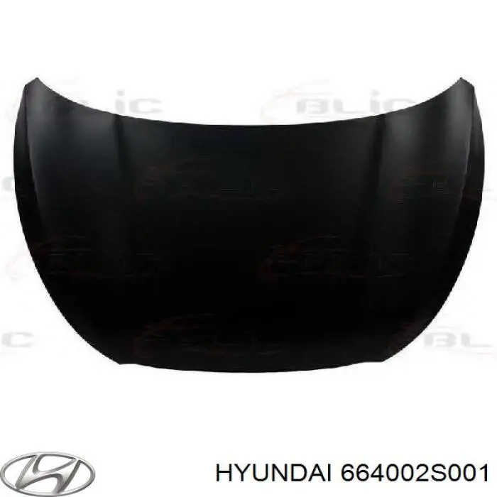 664002S001 Hyundai/Kia Capota