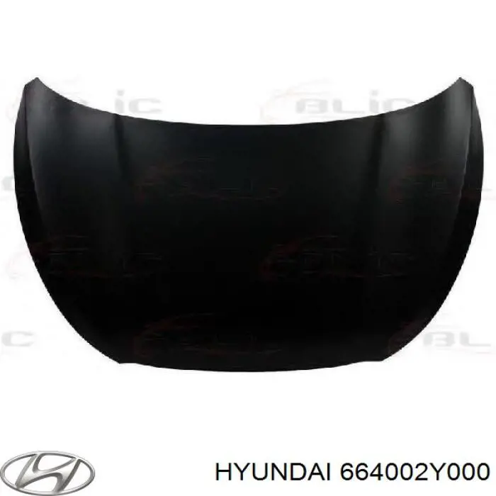 664002Y000 Hyundai/Kia Capota