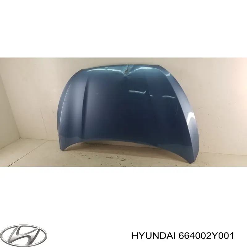 Capota Hyundai/Kia 664002Y001 preço, a partir de 220,57 USD