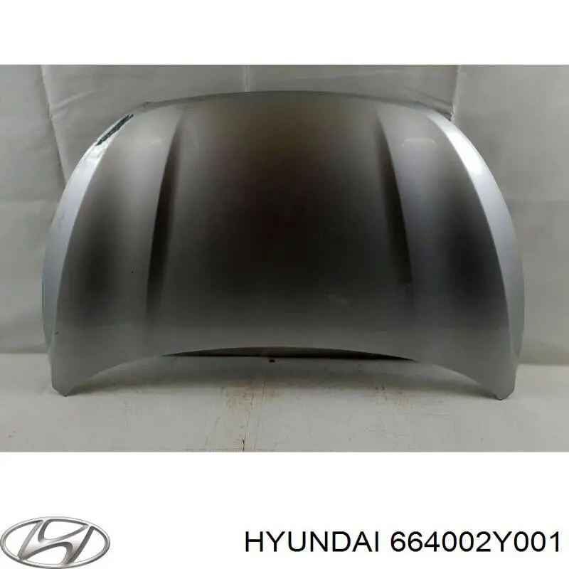 664002Y001 Hyundai/Kia Capota