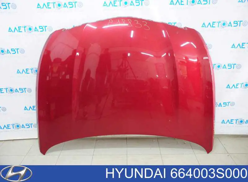 Capota Hyundai/Kia 664003S000 preço, a partir de 216,42 USD
