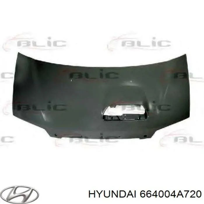 Capota Hyundai/Kia 664004A720 preço, a partir de 243,89 USD