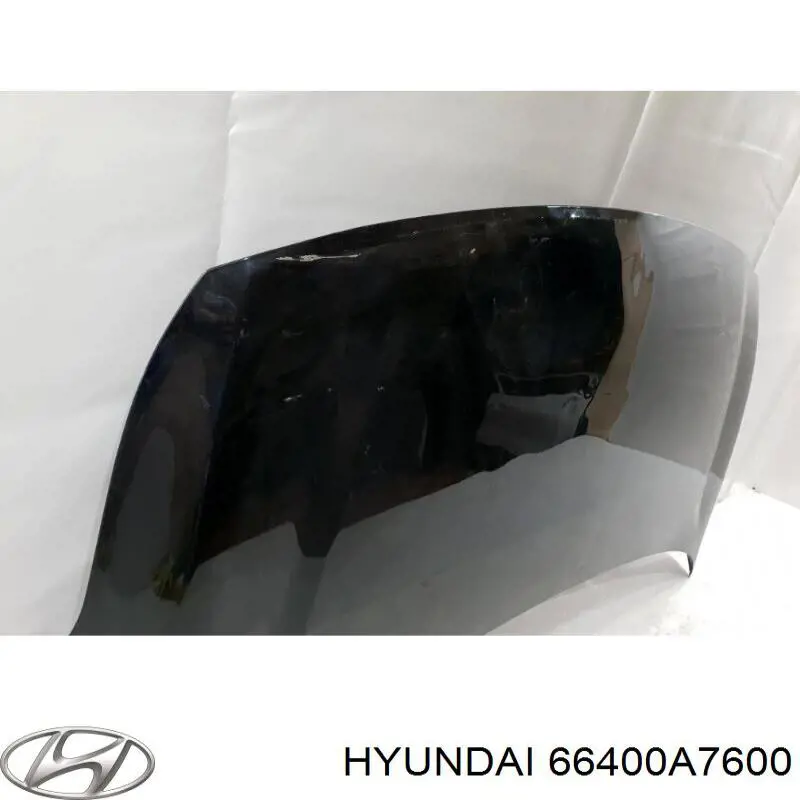 Compre 66400A7600 Hyundai/Kia Capota