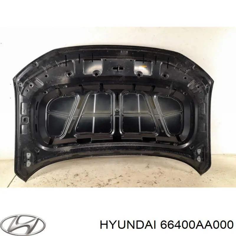 66400AA000 Hyundai/Kia Capota