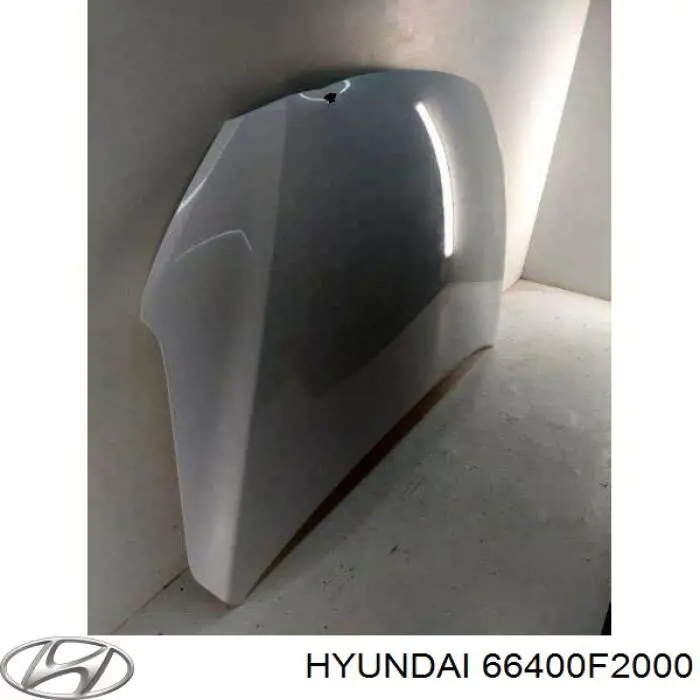 Capota Hyundai/Kia 66400F2000 preço, a partir de 208,54 USD