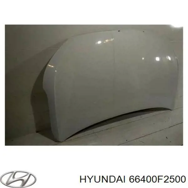 Capota Hyundai/Kia 66400F2500 preço, a partir de 229,17 USD