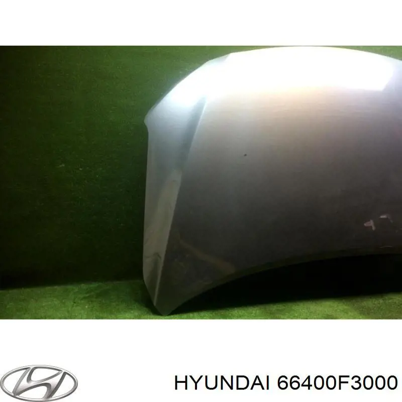 66400F3000 Hyundai/Kia Capota