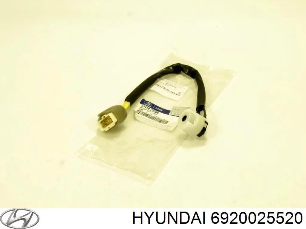 Tampa de porta-malas Hyundai/Kia 6920025520 preço, a partir de  USD
