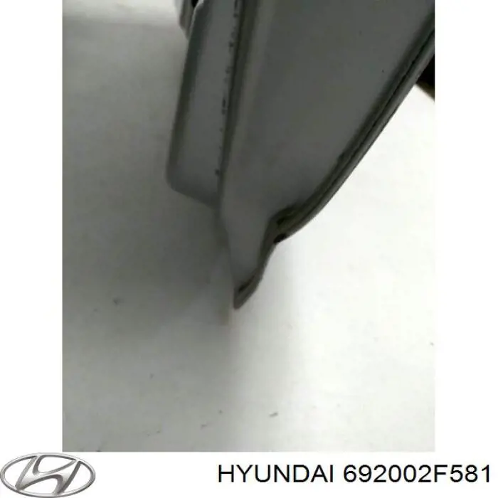 Compre 692002F581 Hyundai/Kia Tampa de porta-malas