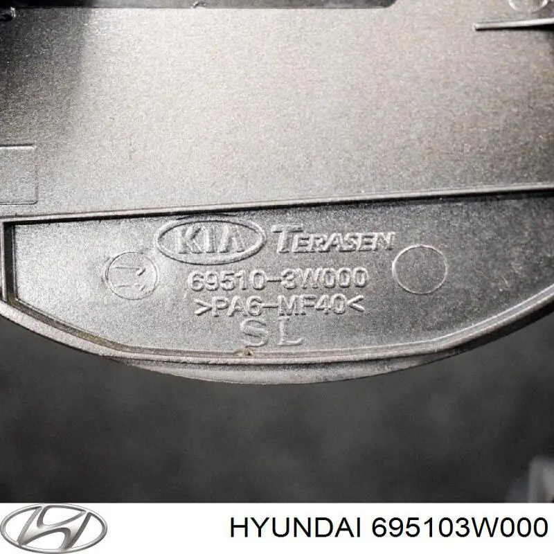 Compre 695103W000 Hyundai/Kia Alcapão do tanque de combustível