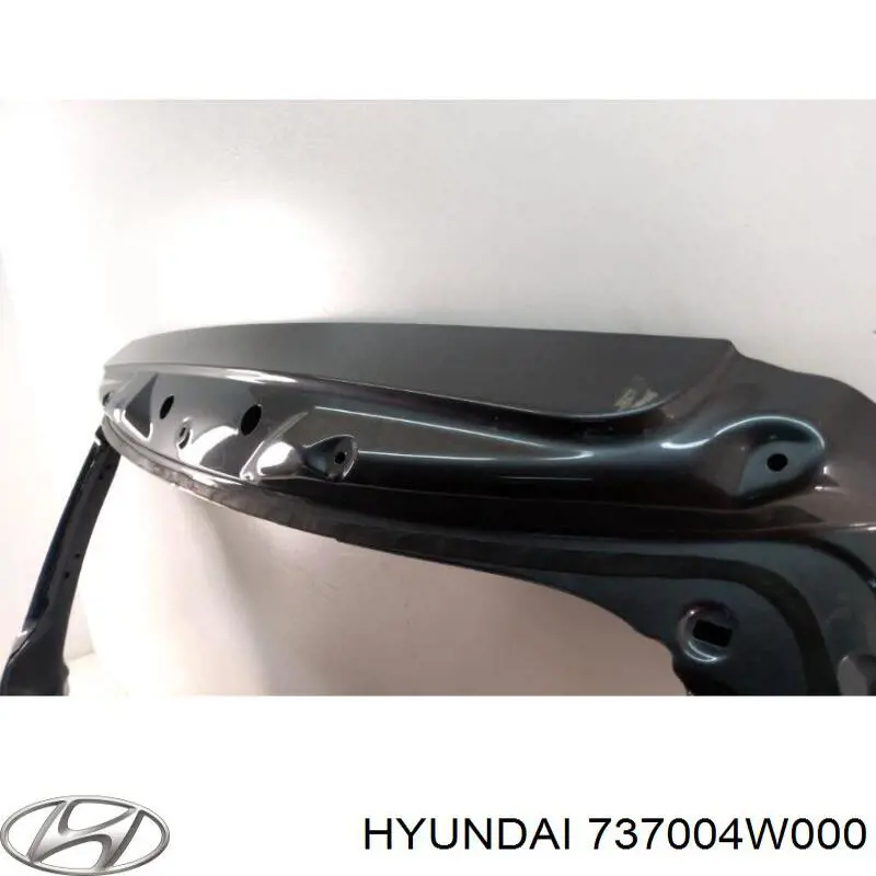 Porta traseira (3ª/5ª porta-malas (tampa de alcapão) Hyundai Ix35  LM