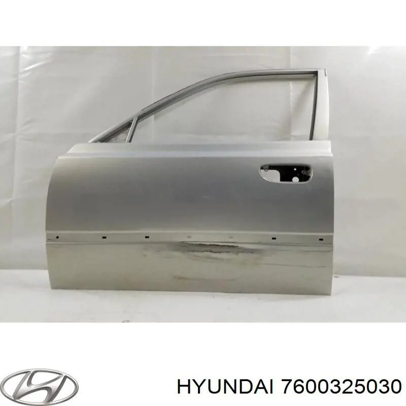 Porta dianteira esquerda Hyundai/Kia 7600325031 preço, a partir de 154,93 USD