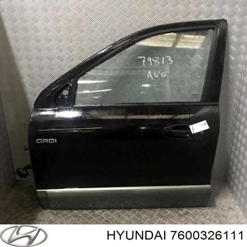 Porta dianteira esquerda Hyundai Santa Fe I SM