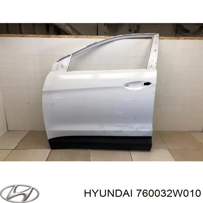 Porta dianteira esquerda Hyundai Santa Fe III DM