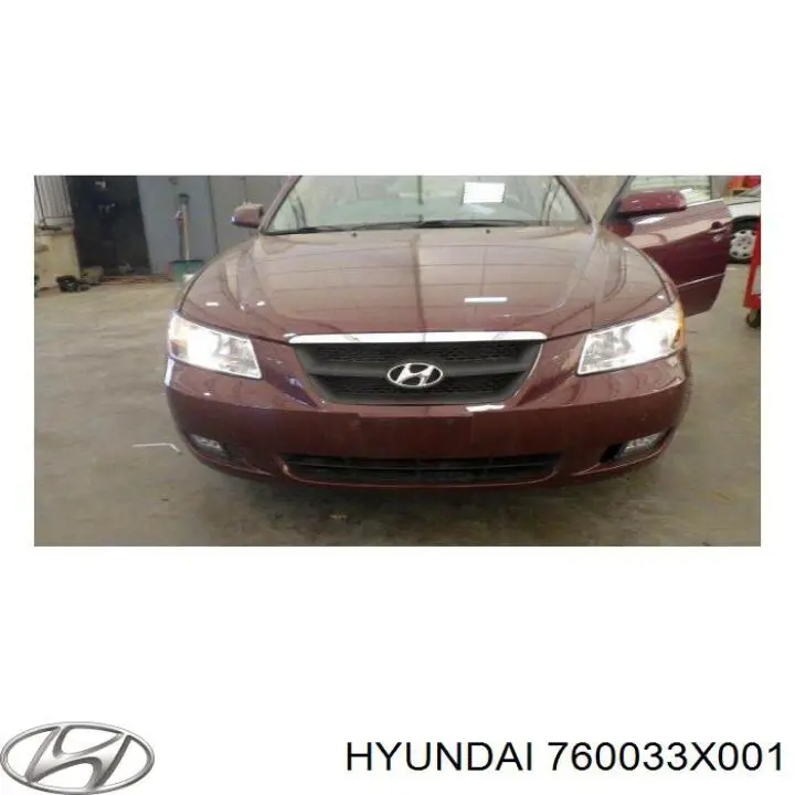 Porta dianteira esquerda Hyundai/Kia 760033X001 preço, a partir de 825,39 USD