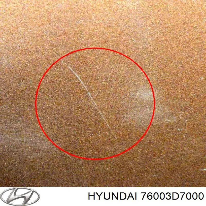 76003D7000 Hyundai/Kia Porta dianteira esquerda