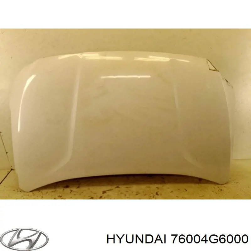 76004G6000 Hyundai/Kia Porta dianteira direita
