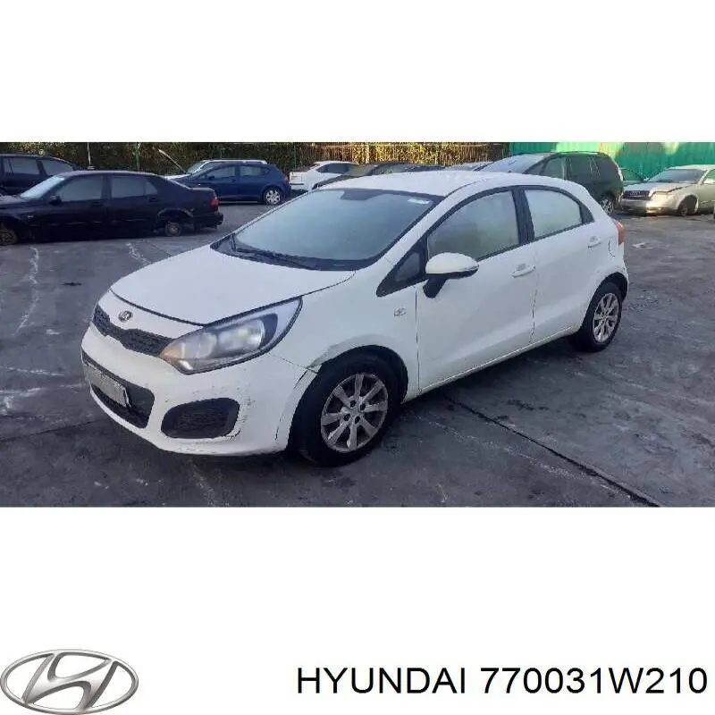 770031W210 Hyundai/Kia Porta traseira esquerda