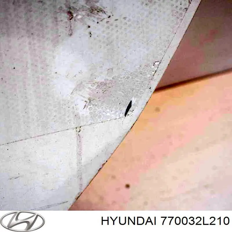 Compre 770032L210 Hyundai/Kia Porta traseira esquerda