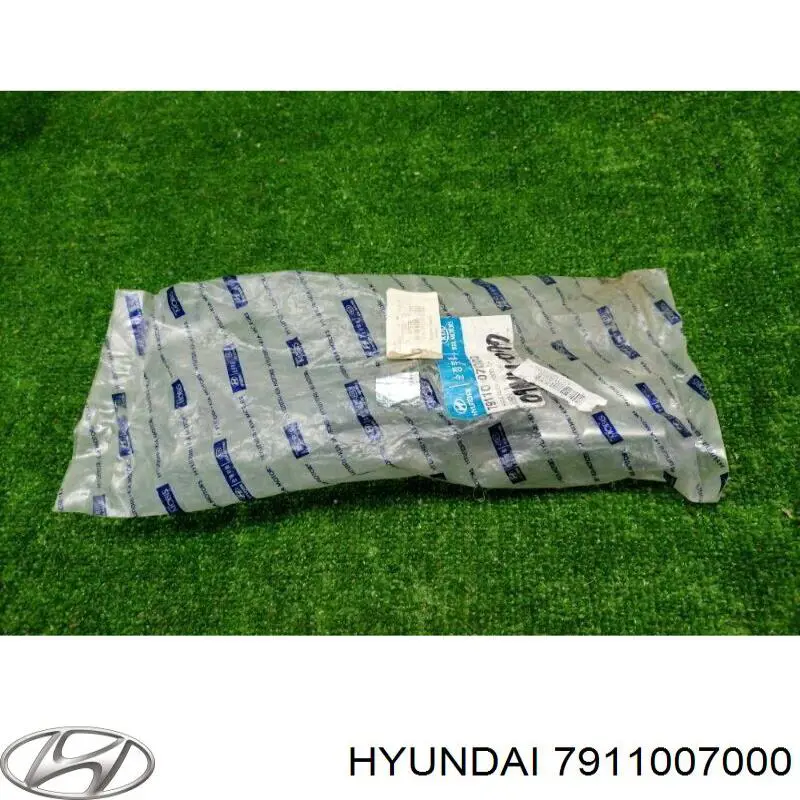 Gozno da capota esquerdo Hyundai/Kia 7911007000 preço, a partir de 73,35 USD