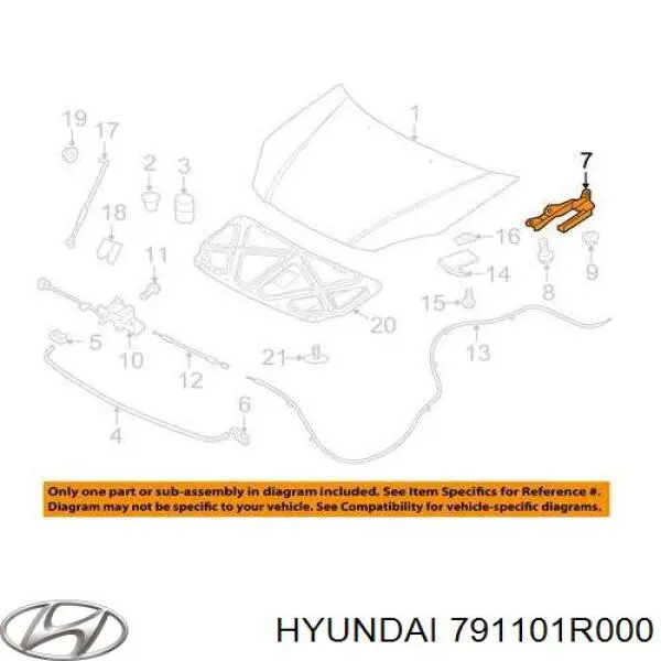 791101R000 Hyundai/Kia Gozno da capota esquerdo