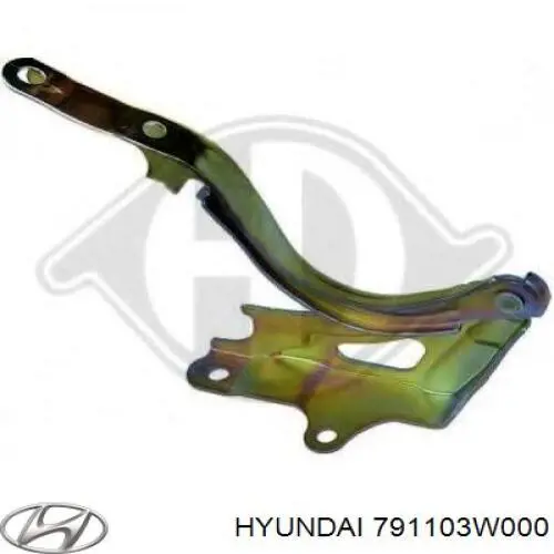 791103W000 Hyundai/Kia Gozno da capota esquerdo