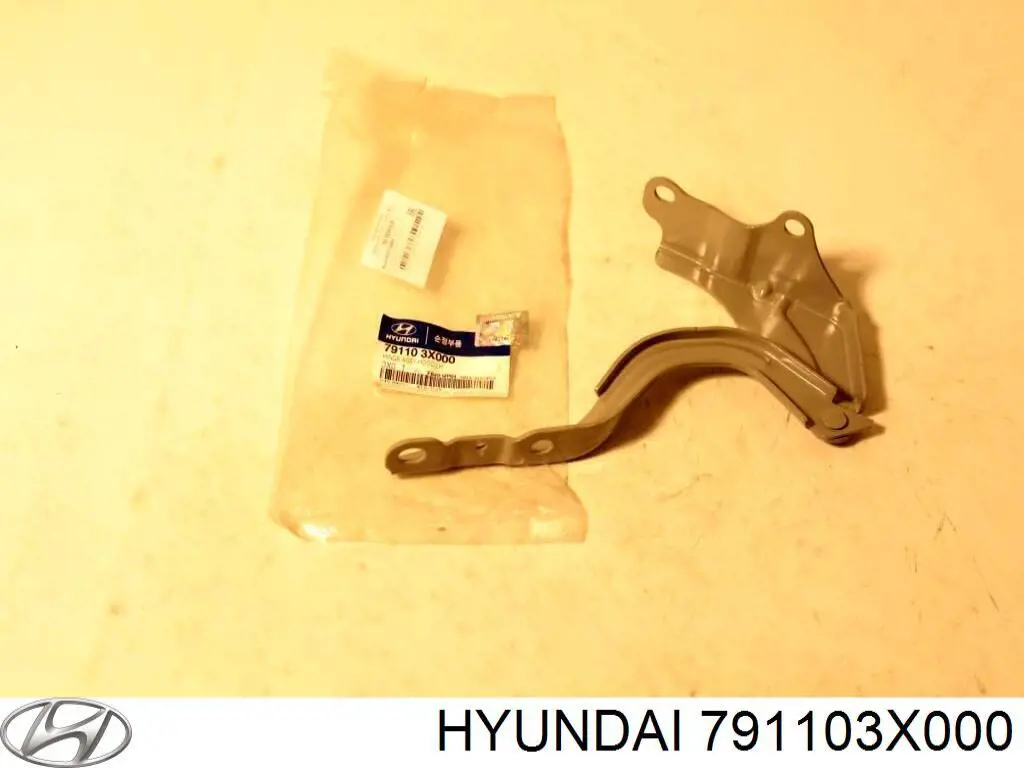 Gozno da capota esquerdo Hyundai/Kia 791103X000 preço, a partir de 18,23 USD