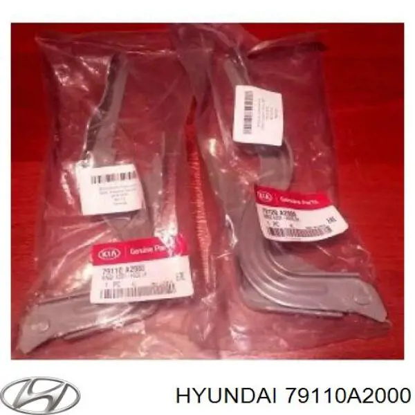 Gozno da capota esquerdo Hyundai/Kia 79110A2000 preço, a partir de 40,31 USD