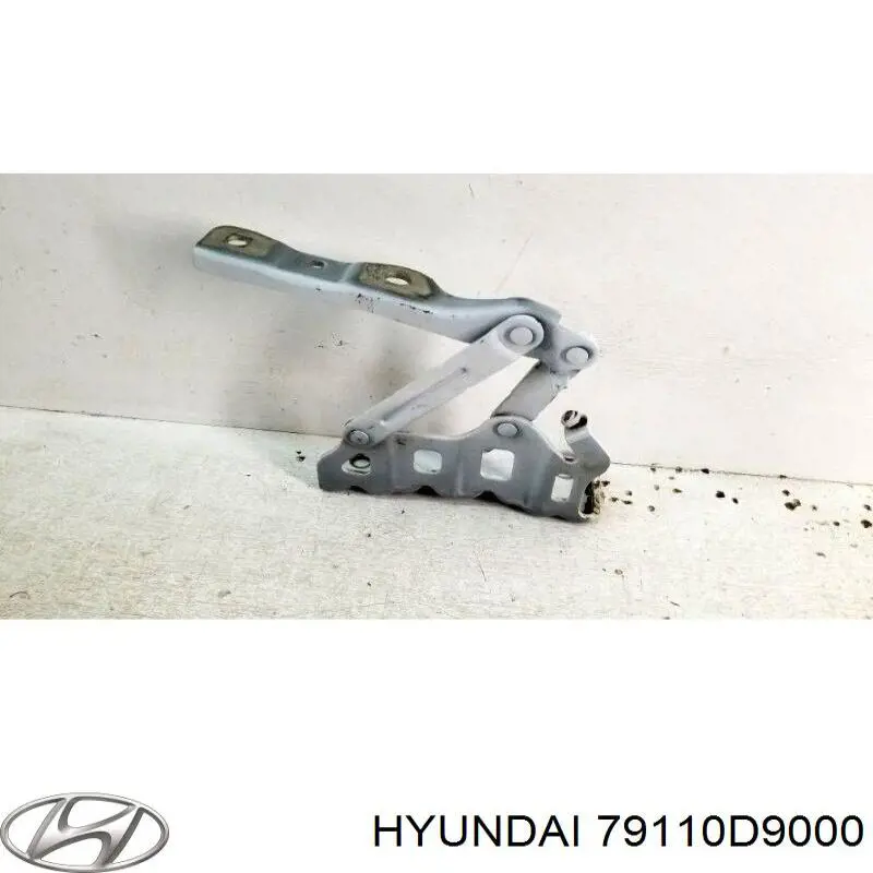 79110D9000 Hyundai/Kia Gozno da capota esquerdo