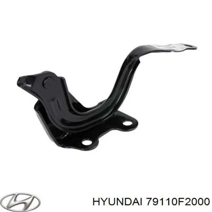 79110F2000 Hyundai/Kia Gozno da capota esquerdo