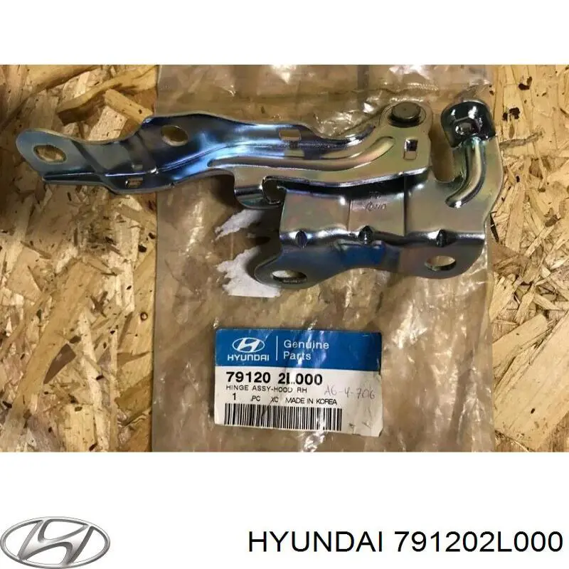 791202L000 Hyundai/Kia Gozno da capota direito