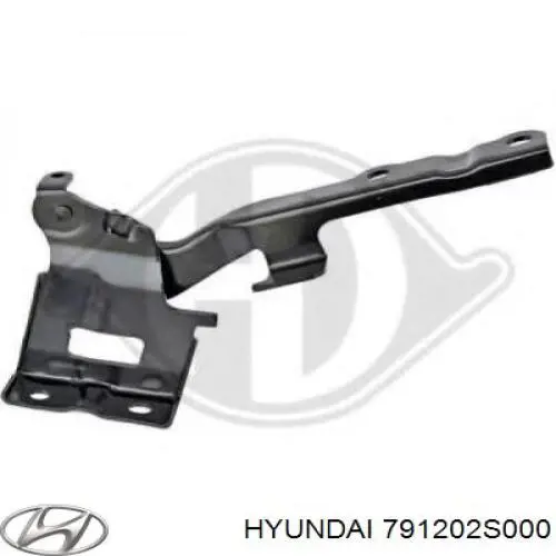791202S000 Hyundai/Kia Gozno da capota direito