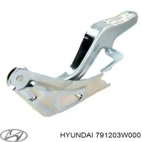 791203W000 Hyundai/Kia Gozno da capota direito