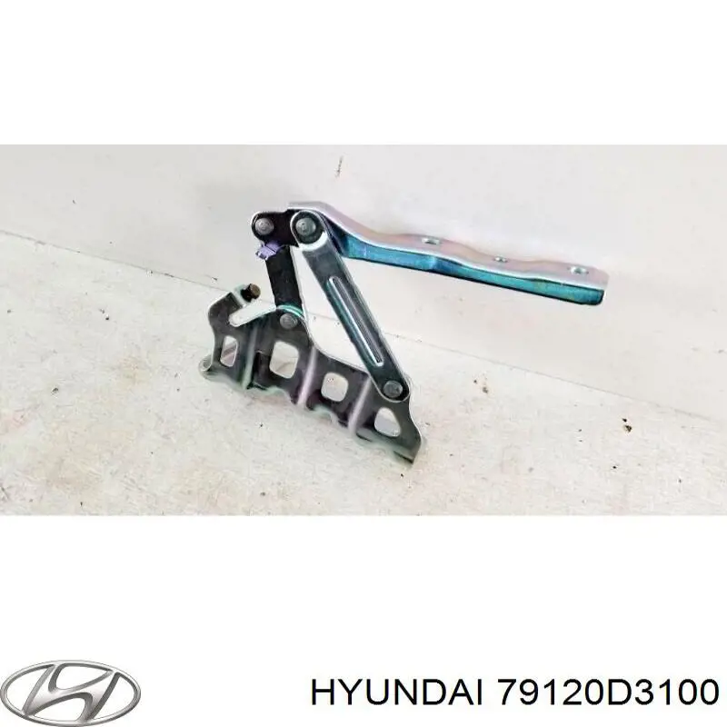 79120D3100 Hyundai/Kia Gozno da capota direito