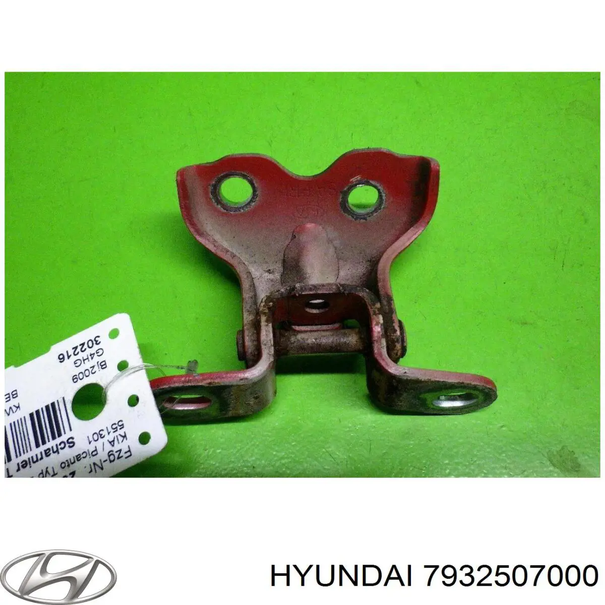 7932507000 Hyundai/Kia Gozno da porta dianteira