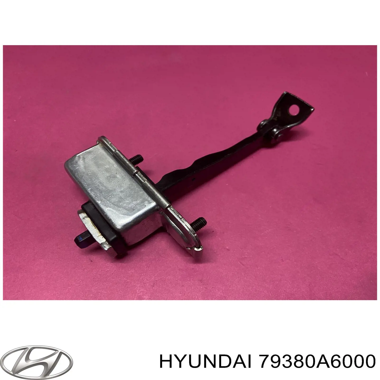 79380A6000 Hyundai/Kia Limitador dianteiro esquerdo de abertura de porta