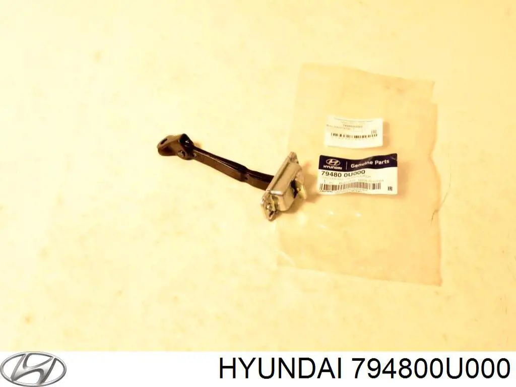 794800U000 Hyundai/Kia Limitador traseiro esquerdo de abertura de porta