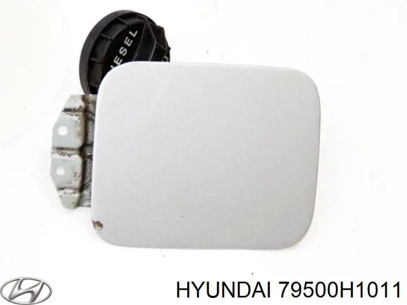 79500H1011 Hyundai/Kia Alcapão do tanque de combustível