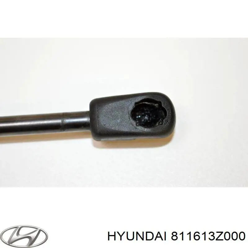 811613Z000 Hyundai/Kia Amortecedor da capota esquerdo