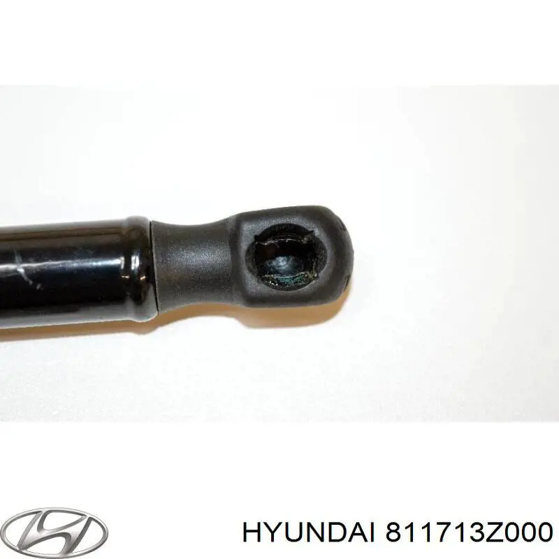 Compre 811713Z000 Hyundai/Kia Amortecedor da capota direito