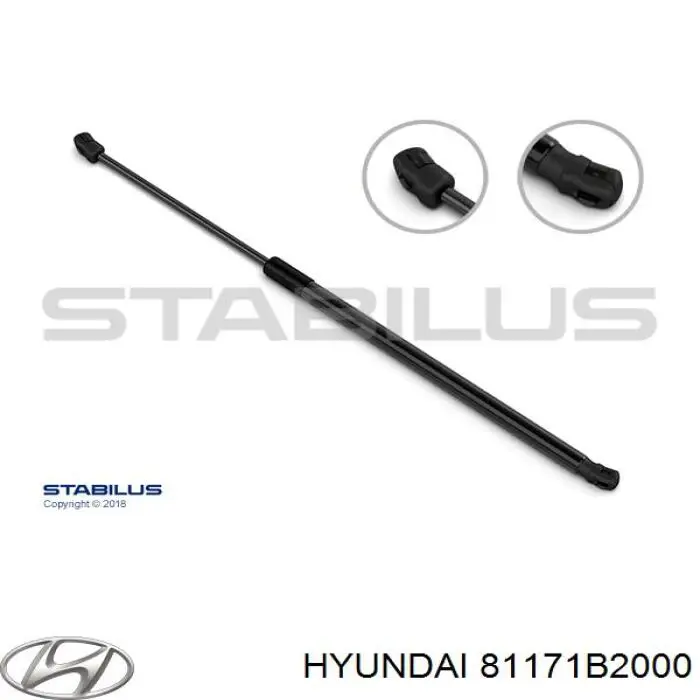 81171B2000 Hyundai/Kia Amortecedor da capota