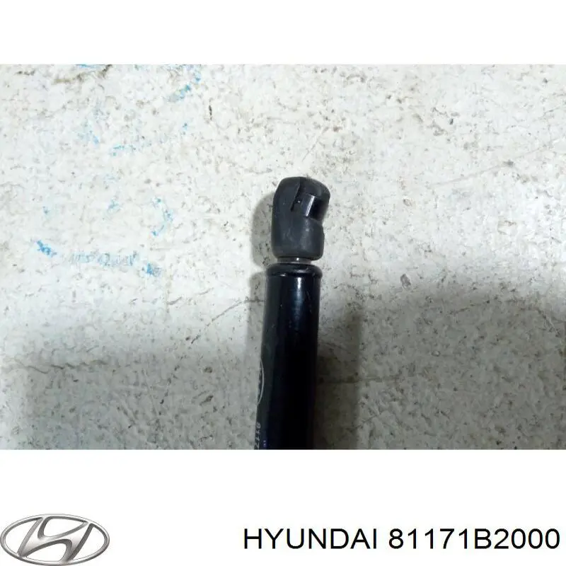 Amortecedor da capota Hyundai/Kia 81171B2000 preço, a partir de 23,62 USD